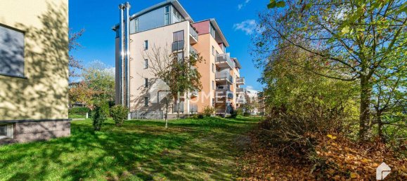 Apartamento T1 em Potsdam, Germany N.º 55744 2