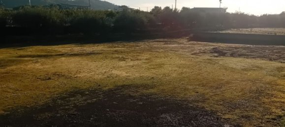 1250m² Warehouse in Biancavilla, Italy No. 159533 18