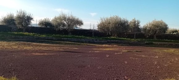 1250m² Warehouse in Biancavilla, Italy No. 159533 11