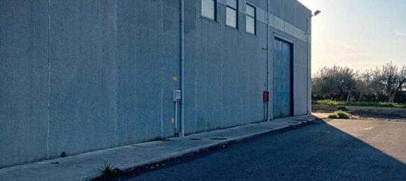 1250m² Warehouse in Biancavilla, Italy No. 159533 22