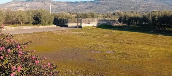 1250m² Warehouse in Biancavilla, Italy No. 159533 5