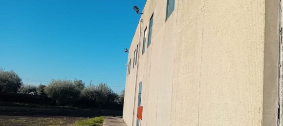 1250m² Warehouse in Biancavilla, Italy No. 159533 9