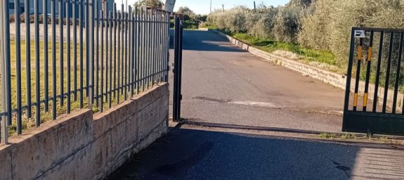 1250m² Warehouse in Biancavilla, Italy No. 159533 3