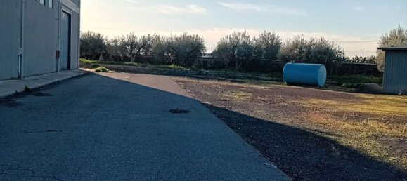 1250m² Warehouse in Biancavilla, Italy No. 159533 13