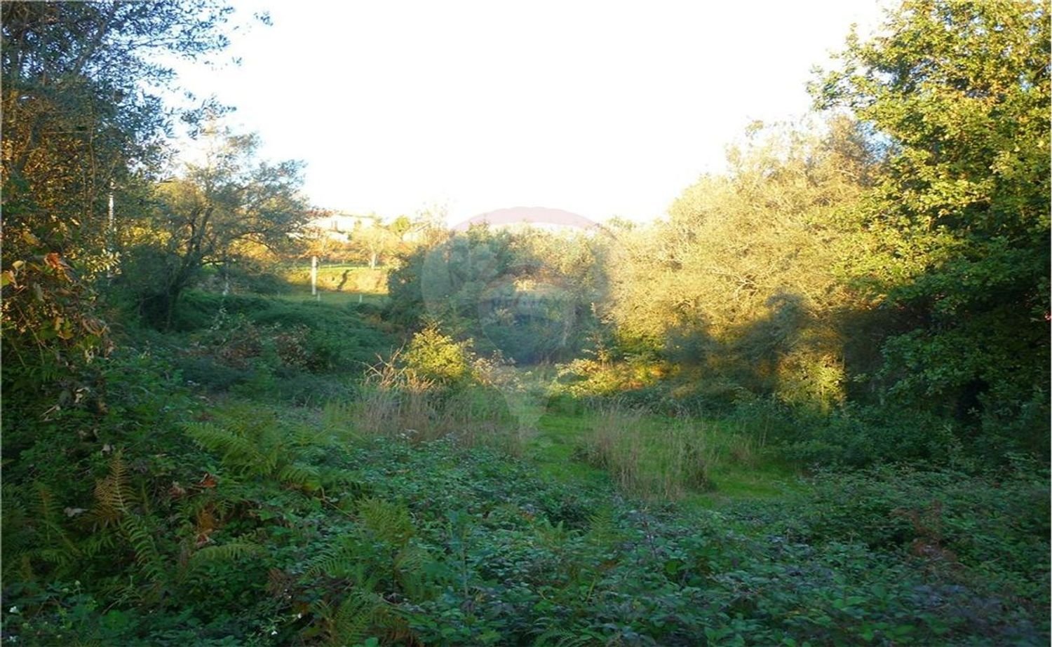 Grundstück in Vila Verde, Portugal 772m², Nr. 11591