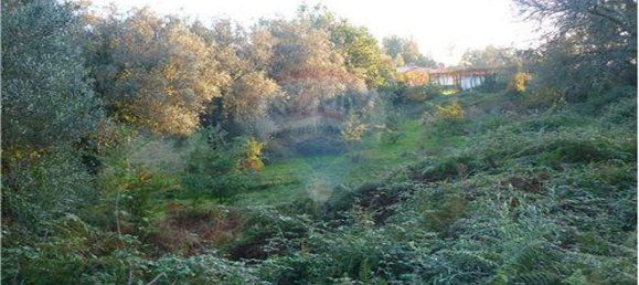 Grundstück in Vila Verde, Portugal 772m², Nr. 11591 2