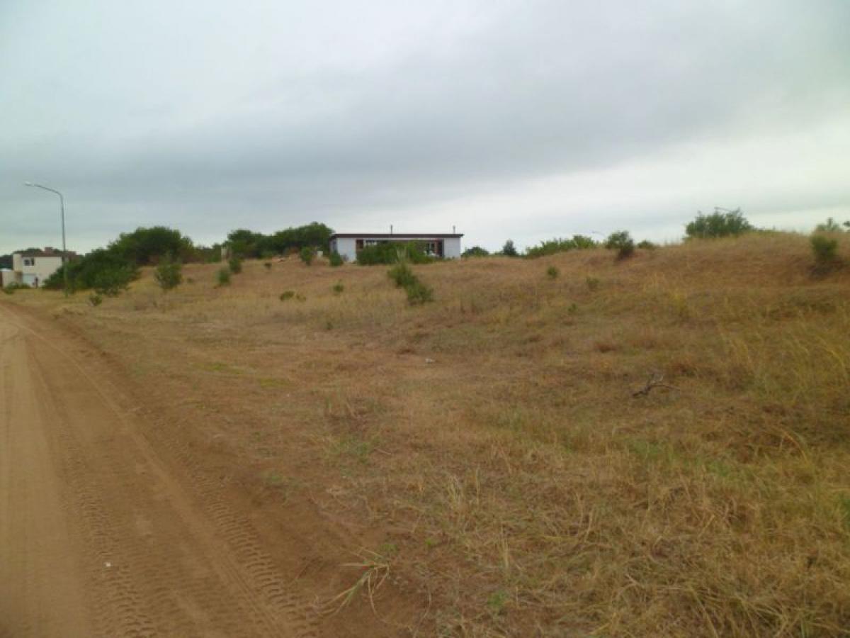  Land in Mar del Plata, Argentina No. 115177