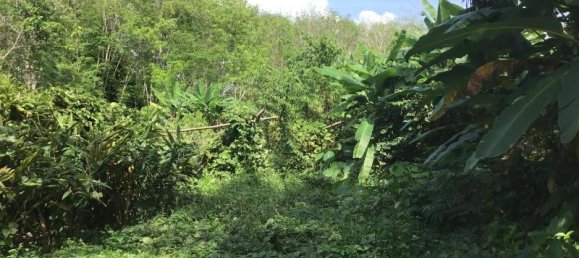 Imóvel comercial em Khok Kloi, Thailand 8032 m² N.º 8045 8