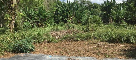 Imóvel comercial em Khok Kloi, Thailand 8032 m² N.º 8045 6