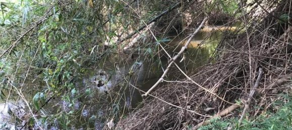 Imóvel comercial em Khok Kloi, Thailand 8032 m² N.º 8045 4