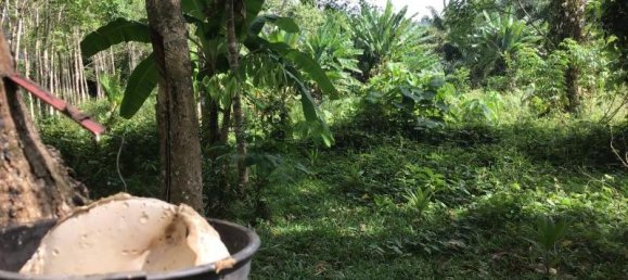 Imóvel comercial em Khok Kloi, Thailand 8032 m² N.º 8045 5