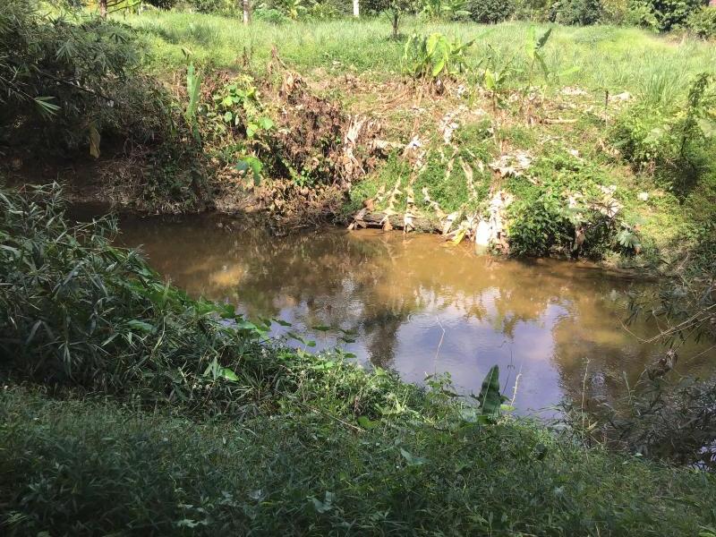 Imóvel comercial em Khok Kloi, Thailand 8032 m² N.º 8045