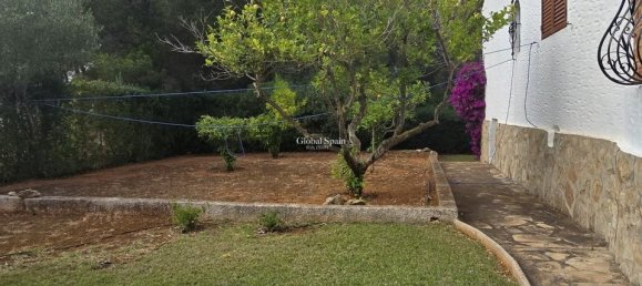 6 غرف نوم منزل في Alicante, Spain رقم 184753 5