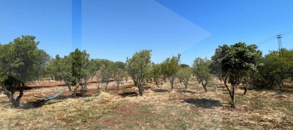 3 rooms Villa in Ostuni, Italy No. 22234 14