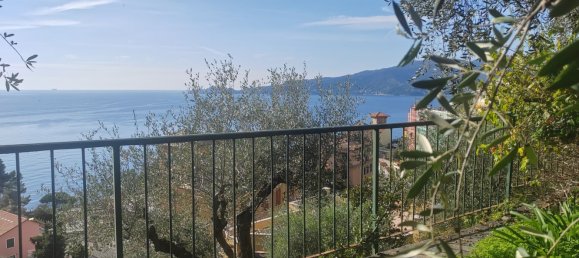 7 rooms Apartment in Zoagli, Italy No. 144089 10