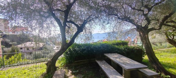 7 rooms Apartment in Zoagli, Italy No. 144089 11