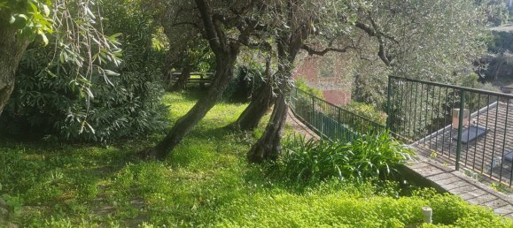 7 rooms Apartment in Zoagli, Italy No. 144089 3