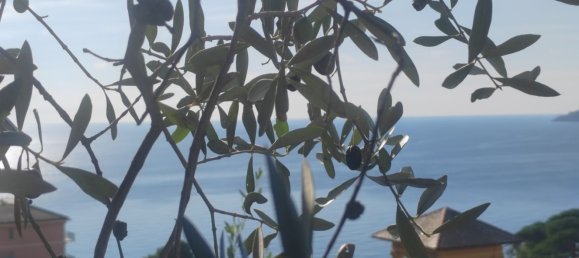 7 rooms Apartment in Zoagli, Italy No. 144089 15