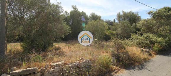 Grundstück in Faro, Portugal 3160m², Nr. 74516 16