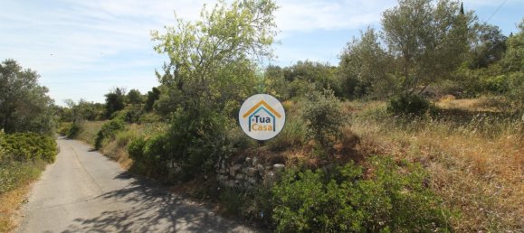 Grundstück in Faro, Portugal 3160m², Nr. 74516 13