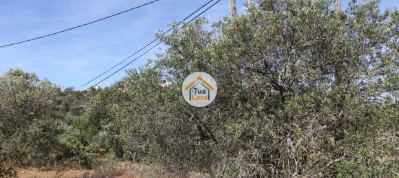 Grundstück in Faro, Portugal 3160m², Nr. 74516 3