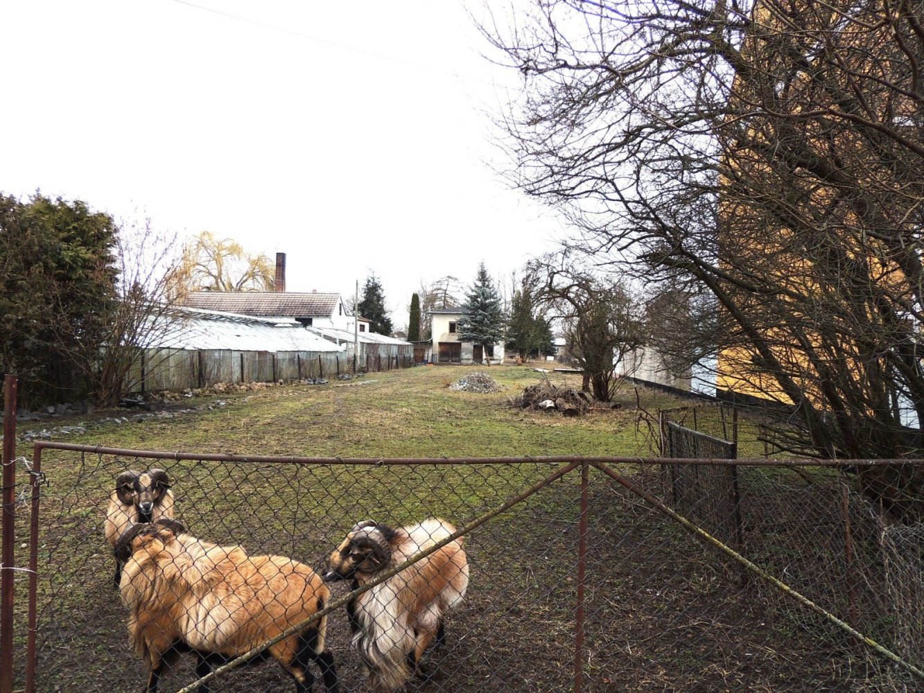Terreno em Anhalt-Bitterfeld, Germany N.º 183613