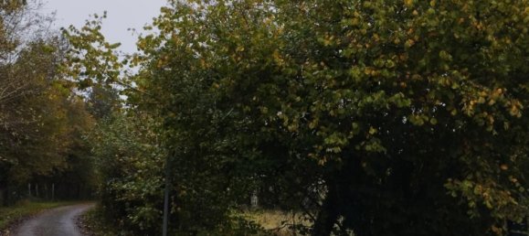  قطعة أرض في Cellettes, France رقم 214070 6