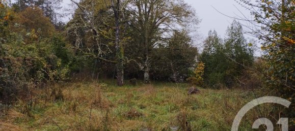  قطعة أرض في Cellettes, France رقم 214070 3