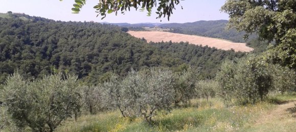 8 chambres Villa à San Venanzo, Italy No. 67478 13