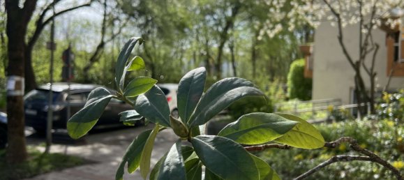 Apartamento T3 em Augsburg, Germany N.º 55385 4