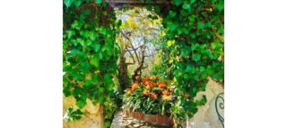 5 bedrooms House in Sintra, Portugal No. 120631 22