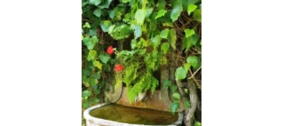 5 bedrooms House in Sintra, Portugal No. 120631 7