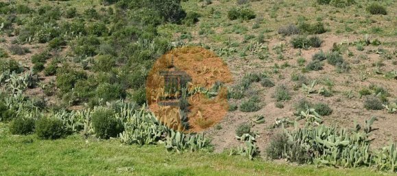 3 bedrooms House in Castro Marim, Portugal No. 144936 8