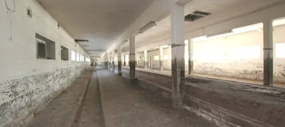 6غرفة منزل في Altmarkkreis Salzwedel, Germany رقم 237405 20