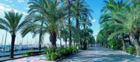 2100m² Land in Moraira, Spain No. 176983 6