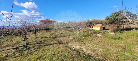 5 Schlafzimmer Haus in Torre de Moncorvo, Portugal, Nr. 180823 3