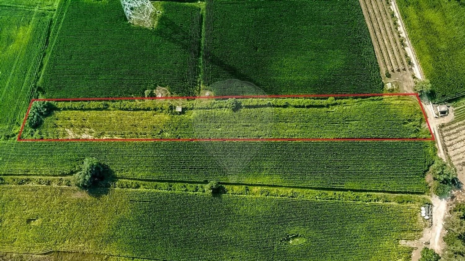  Land in Fornelos, Portugal No. 246695