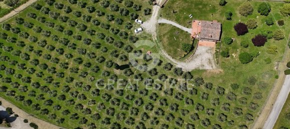 3 bedrooms House in Sinalunga, Italy No. 291779 9