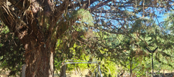 11000m² Land in Modugno, Italy No. 273560 5