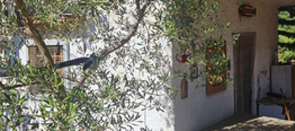 11000m² Land in Modugno, Italy No. 273560 3