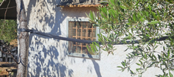 11000m² Land in Modugno, Italy No. 273560 2