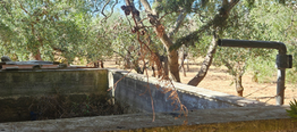 11000m² Land in Modugno, Italy No. 273560 4