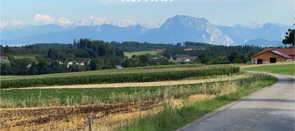 Земельный участок в Отнанг ам Хаусрук, Австрия № 221676 5