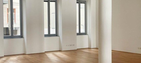 3 rooms Apartment in Neubau, Austria No. 139885 16