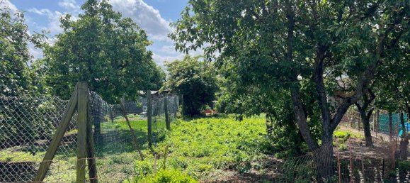  Land in Gustrow, Germany No. 273845 4