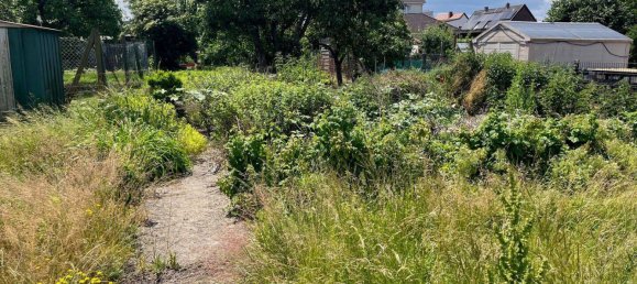  Land in Gustrow, Germany No. 273845 3