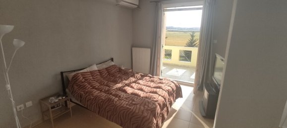 Коммерческая недвижимость с 5 спальнями в Vasilika, Греция № 3154 12