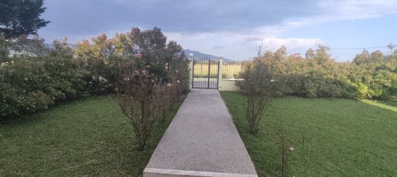 Коммерческая недвижимость с 5 спальнями в Vasilika, Греция № 3154 28