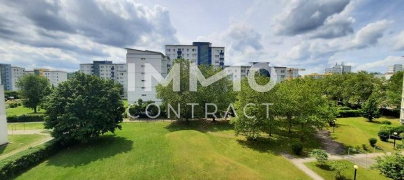 3 chambres Appartement à Wels, Austria No. 230038 2