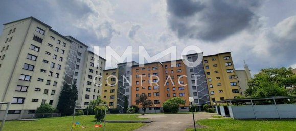 3 chambres Appartement à Wels, Austria No. 230038 12